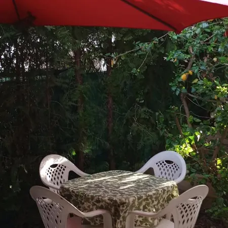 El Laurel Y El Limonero. La Pajanosas
